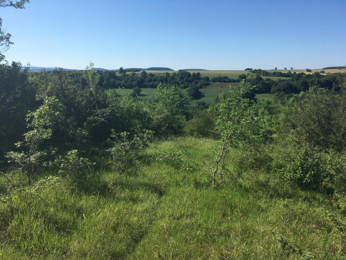 蓝马住宿加早餐旅馆 Fontenay-près-Vézelay 外观 照片